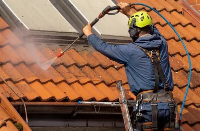Démoussage et hydrofuge de toiture à Mervent